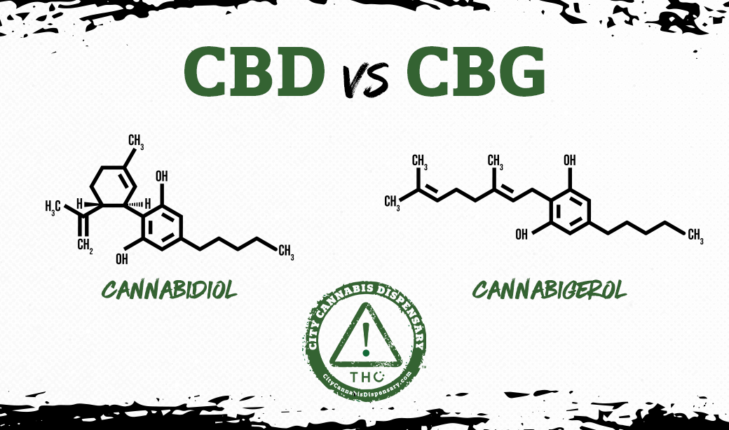 Understanding the Differences Between CBD and CBG