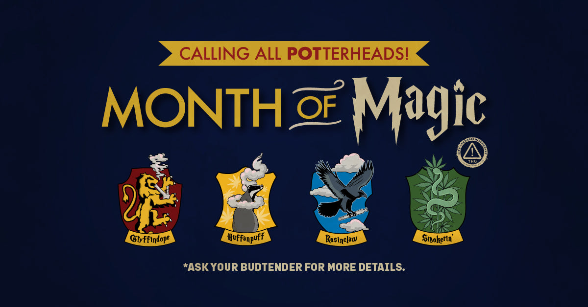 Dive into a Month of Magic with City Distributions!