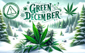 Green December: Cultivating a Season of Wellness and Celebration